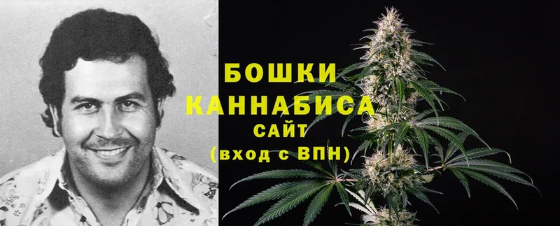 Марихуана SATIVA & INDICA  ОМГ ОМГ маркетплейс  Подольск 